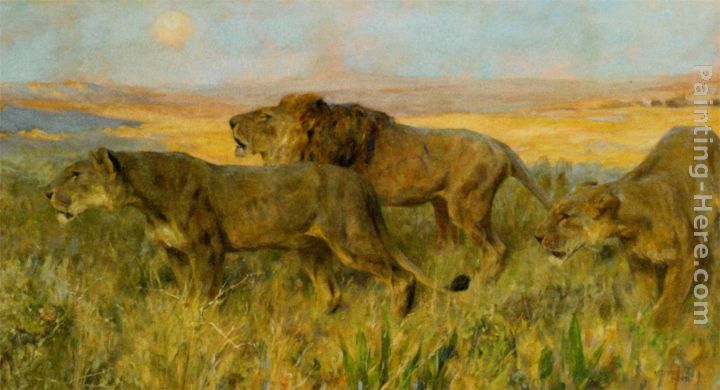 Arthur Wardle Lions sunset